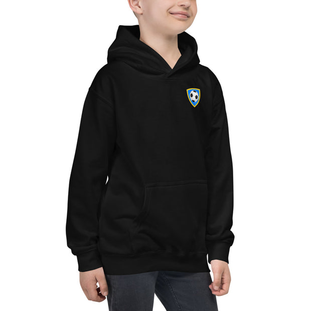 Number 10 Soccer Player Print Boys Hoodie